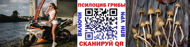 где можно купить ОМГ ОМГ вход Галлюциногенные грибы мухоморы Верхняя Салда